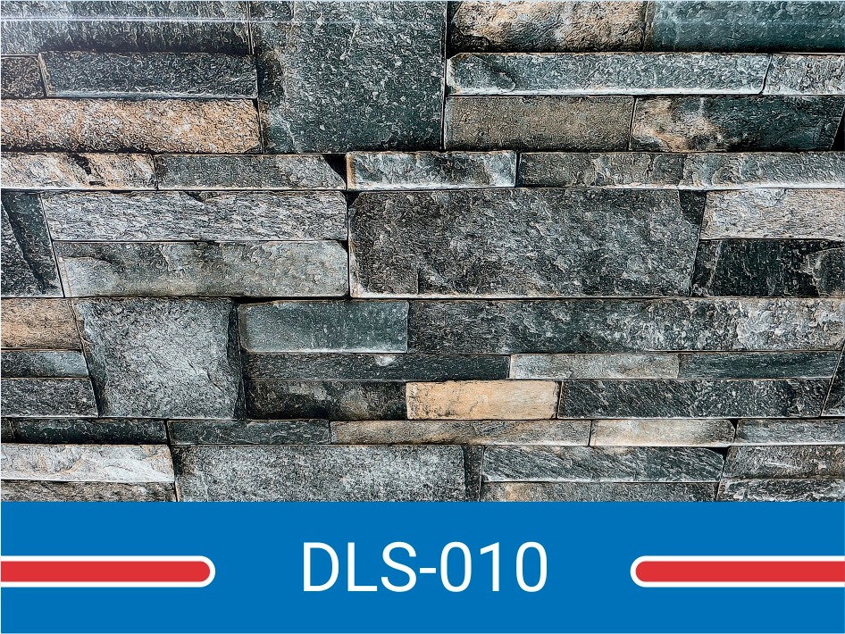 DLS-010 DLS-010