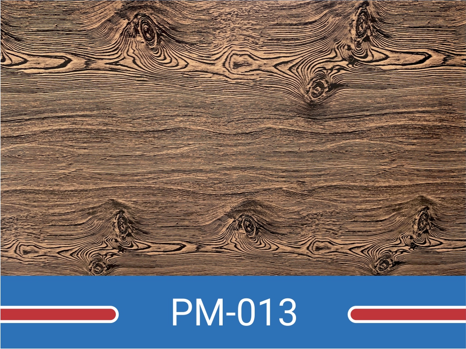 PM-013
